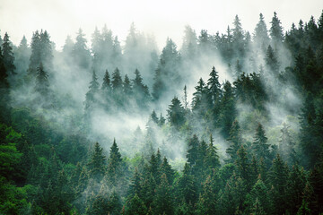 地下水归哪个部门
