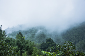 实测分享“手机拼三张有挂吗(透视)”详细开挂玩法